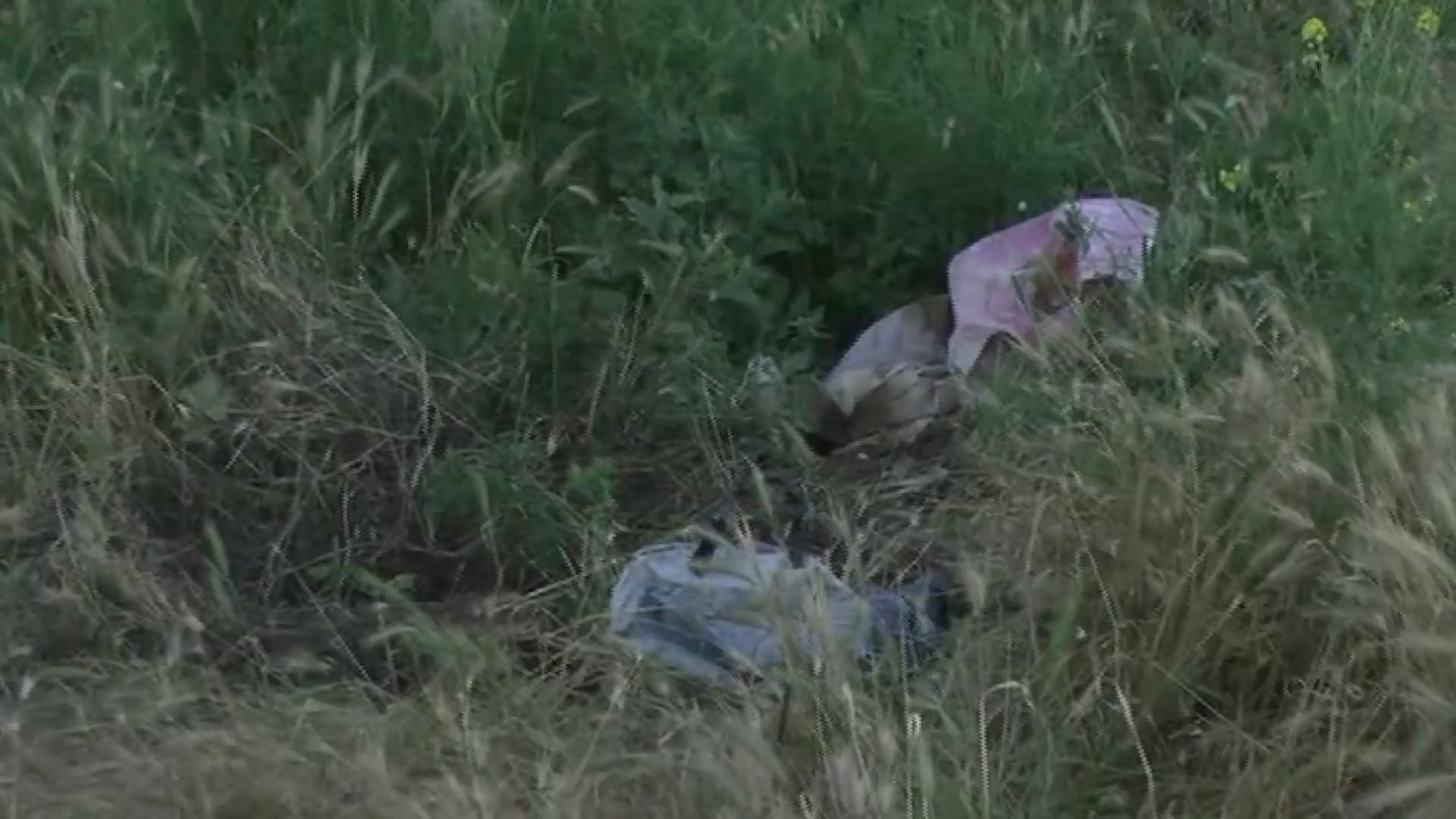 На території школи-інтернату знайшли тіло немовляти