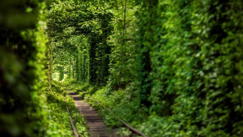 Идея для отдыха: феномен украинской природы – Тоннель любви