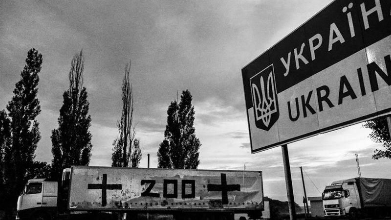 Штурмуючи позиції сил АТО загинуло понад 10 бойовиків Штурмуючи позиції сил АТО загинуло понад 10 бойовиків