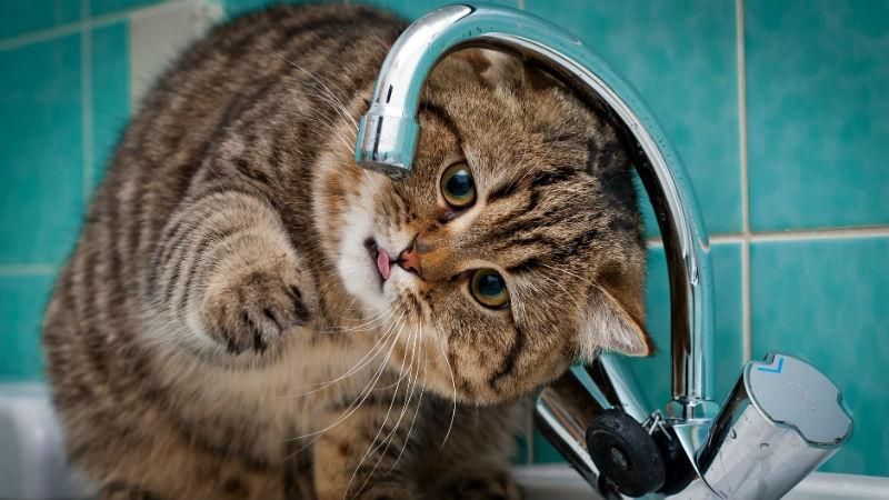 Наскільки подорожчає холодна вода: невтішні цифри Наскільки подорожчає холодна вода: невтішні цифри