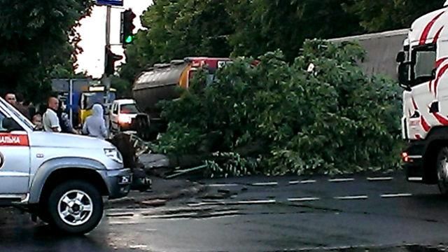 Стихія обрушилась на Волинь: дерева розкидані по дорогах, багато сіл без світла Стихія обрушилась на Волинь: дерева розкидані по дорогах, багато сіл без світла