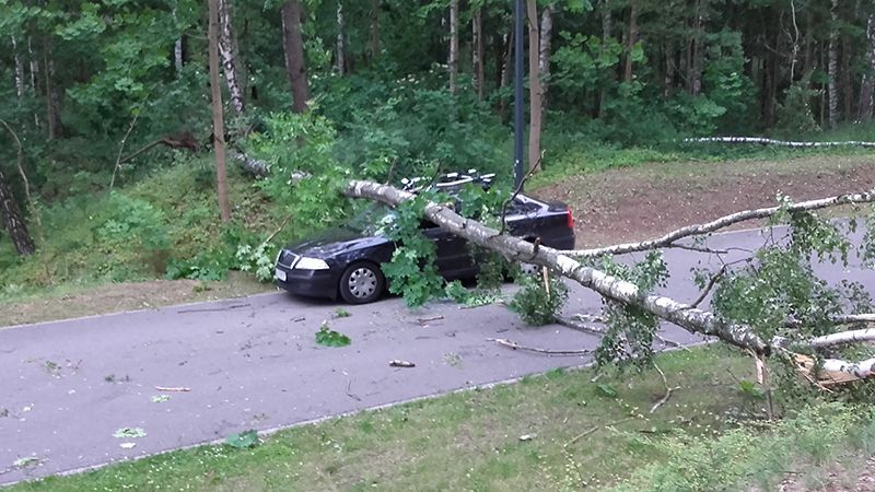 Мощный ураган обрушился на Польшу: есть погибшие