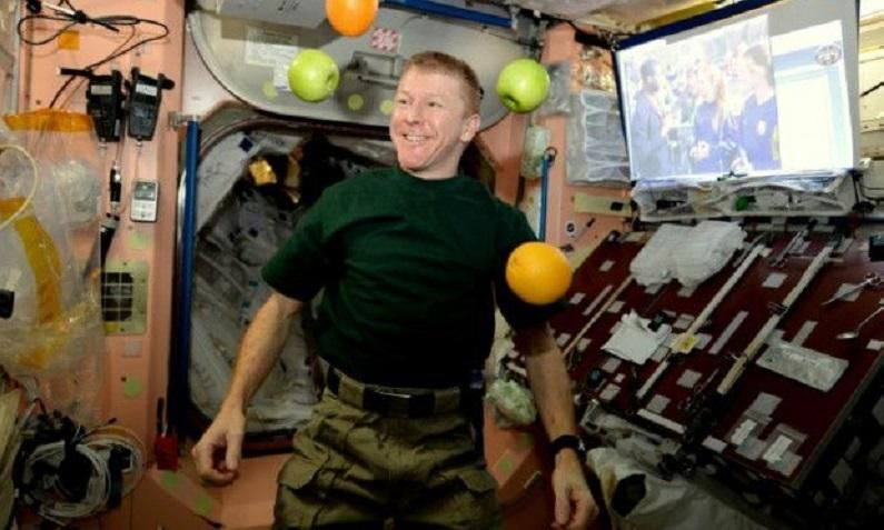 На Землю вернулись три космонавта На Землю вернулись три космонавта