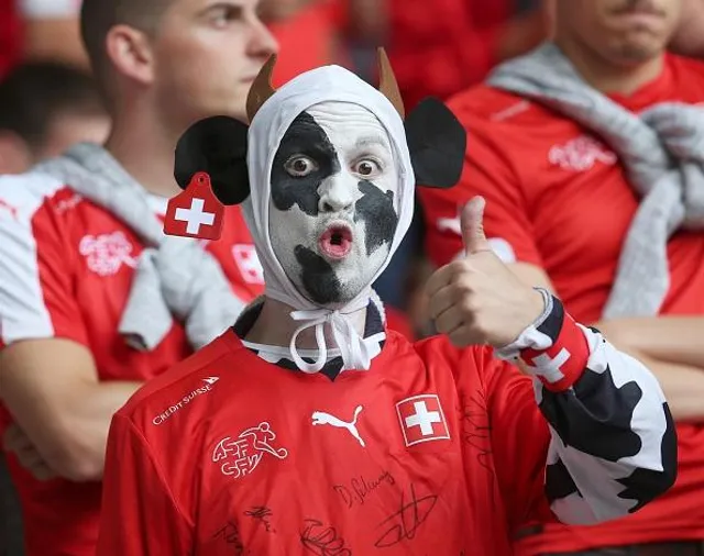 Євро-2016, фанати Євро-2016, фанати