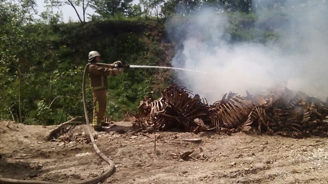Загорелась свалка скелетов животных: появились фото Загорелась свалка скелетов животных: появились фото