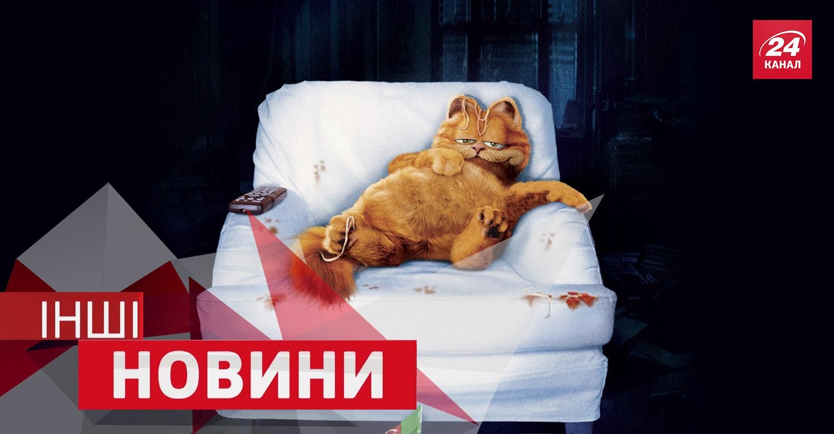 ІНШІ новини. Як слон налякав Шварценеггера. В мережі знайшли найлінивішого кота ІНШІ новини. Як слон налякав Шварценеггера. В мережі знайшли найлінивішого кота