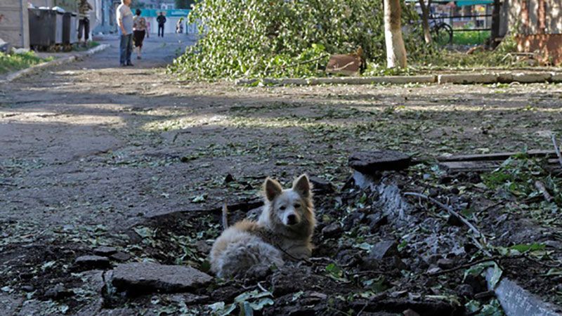 Терористи здійснили півсотні обстрілі в зоні АТО