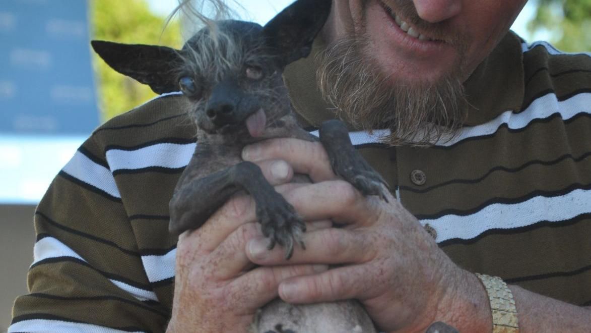 Конкурс потворності відбувся в США: переможець отримав чималеньку суму Конкурс потворності відбувся в США: переможець отримав чималеньку суму