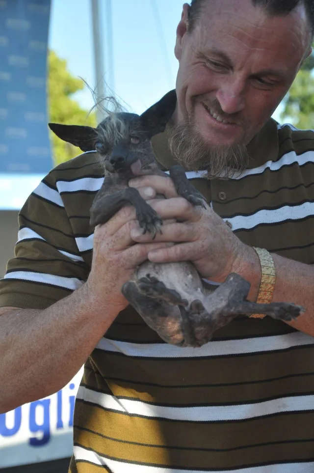 огидний, пес, SweetPea Rambo огидний, пес, SweetPea Rambo