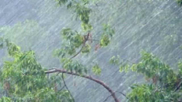 Західній Україні загрожує ще одне стихійне лихо Західній Україні загрожує ще одне стихійне лихо