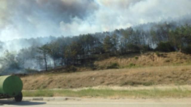 Под Севастополем масштабный пожар Под Севастополем масштабный пожар