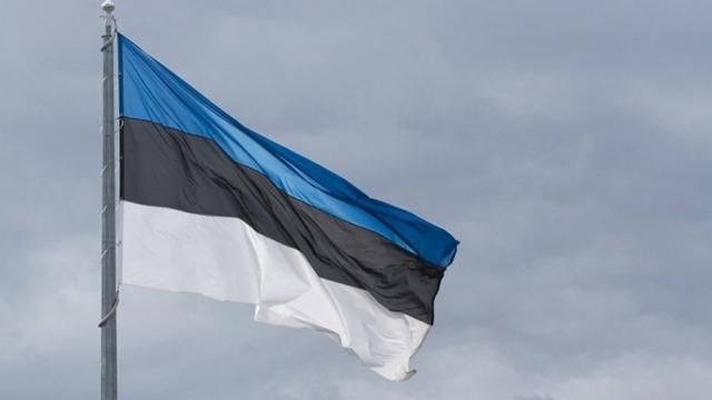 Эстония выдаст Украине своего гражданина, который воевал на стороне террористов на Донбассе