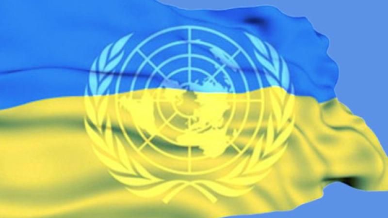 Стало известно, когда Украина будет главенствовать в ООН