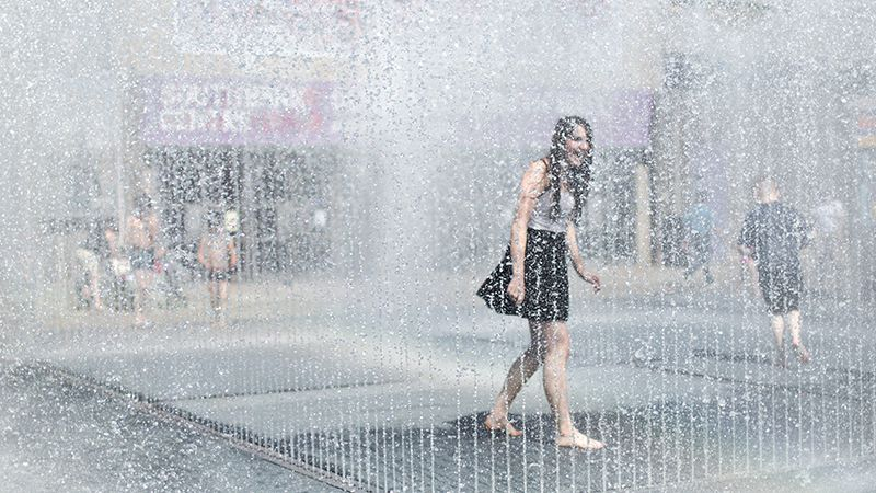 Опрос: Как вы собираетесь бороться с заоблачными тарифами?