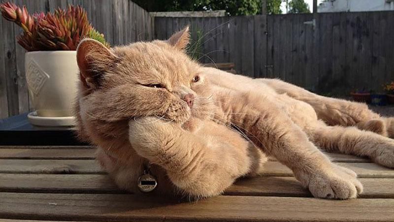 Большинство украинцев не будут отдыхать этим летом: мрачная статистика Большинство украинцев не будут отдыхать этим летом: мрачная статистика