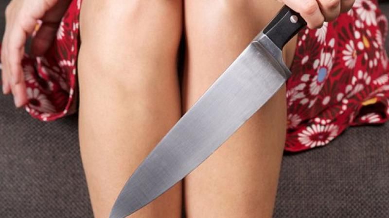 Молодик влаштував різанину в маскарадній масці на Донеччині Молодик влаштував різанину в маскарадній масці на Донеччині