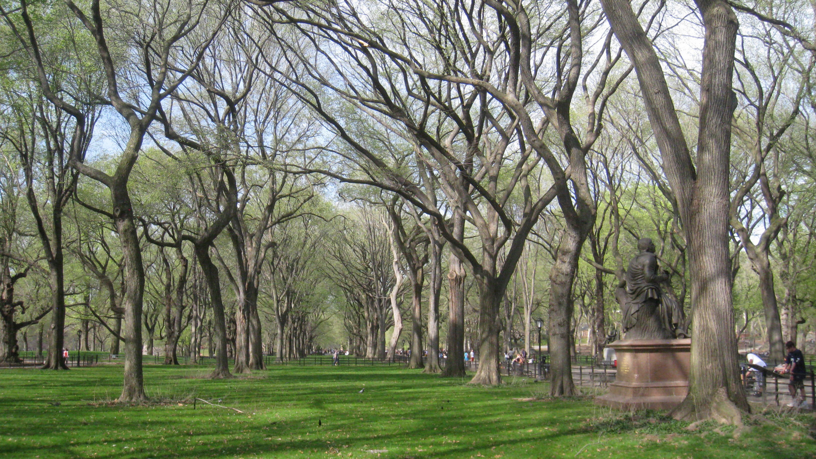 Вибух прогримів у Центральному парку Нью-Йорка: чоловік втратив ногу