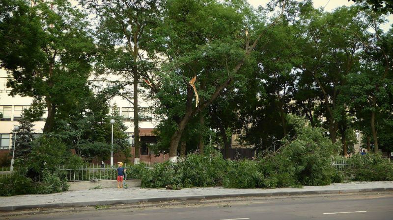 Ізмаїл накрив сильний шторм: повалені багато дерев Ізмаїл накрив сильний шторм: повалені багато дерев