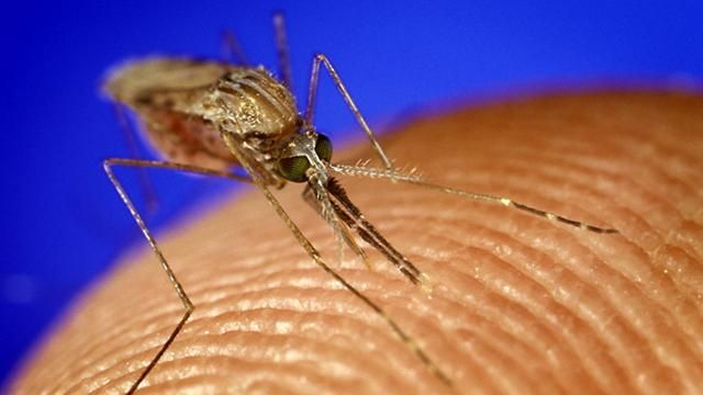 Випадок смертельної хвороби зафіксували на Харківщині Випадок смертельної хвороби зафіксували на Харківщині