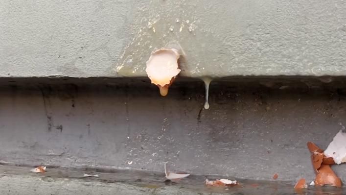 Прихильників Александровської закидали яйцями у Харкові Прихильників Александровської закидали яйцями у Харкові