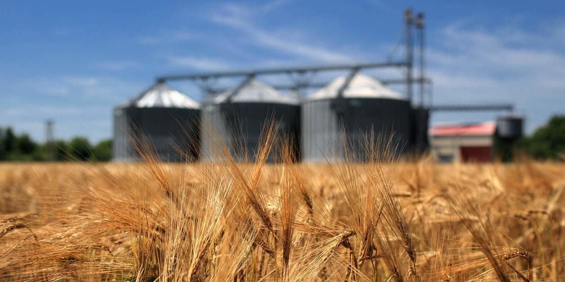 Агрохолдинг Бахматюка рекордно увеличил экспорт зерна, – РБК