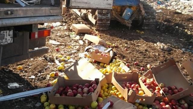 В России снова давили продукты: на этот раз украинские и польские яблоки