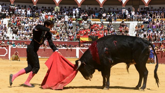 Впервые за 30 лет матадор погиб во время корриды Впервые за 30 лет матадор погиб во время корриды