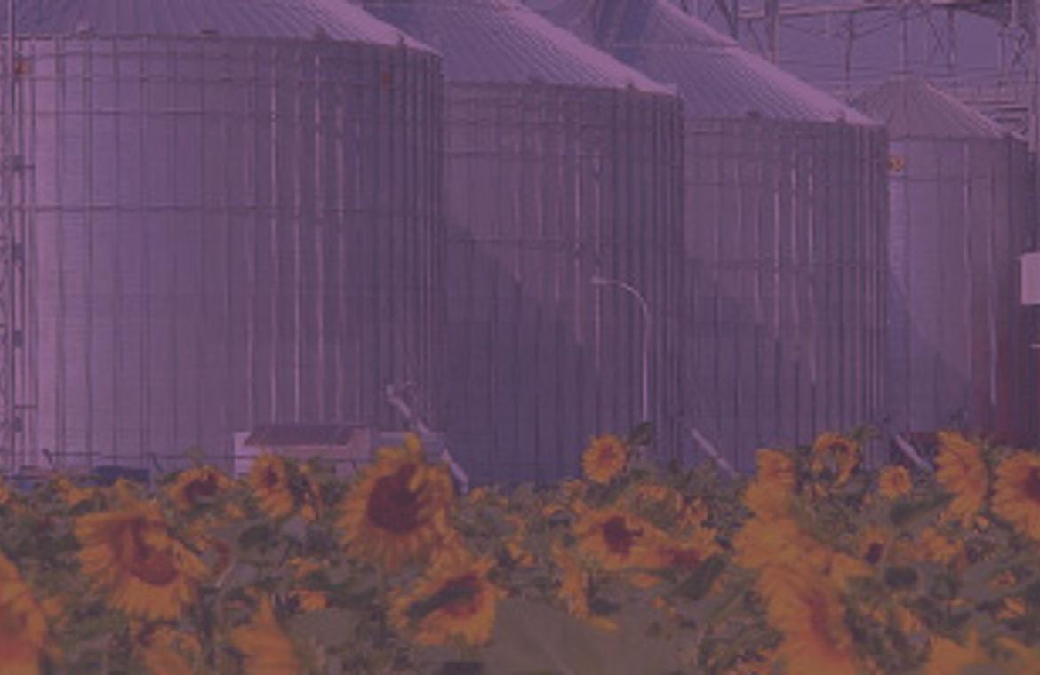 Автопредприятие "Мрия Агрохолдинг" заблокировано неизвестными молодыми людьми