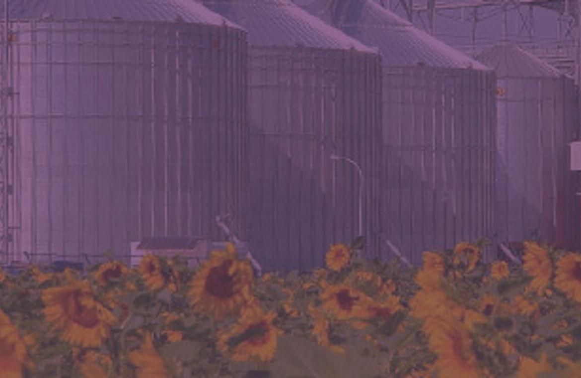 Автопредприятие "Мрия Агрохолдинг" заблокировано неизвестными молодыми людьми Автопредприятие "Мрия Агрохолдинг" заблокировано неизвестными молодыми людьми