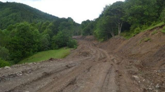 Наречені зірвались з гори на саморобному авто Наречені зірвались з гори на саморобному авто