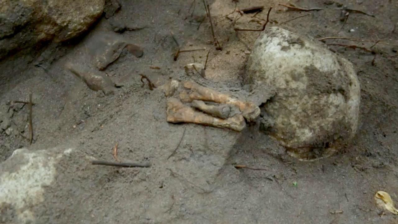 У Львова нашли остатки двухэтажных домов Триполья У Львова нашли остатки двухэтажных домов Триполья