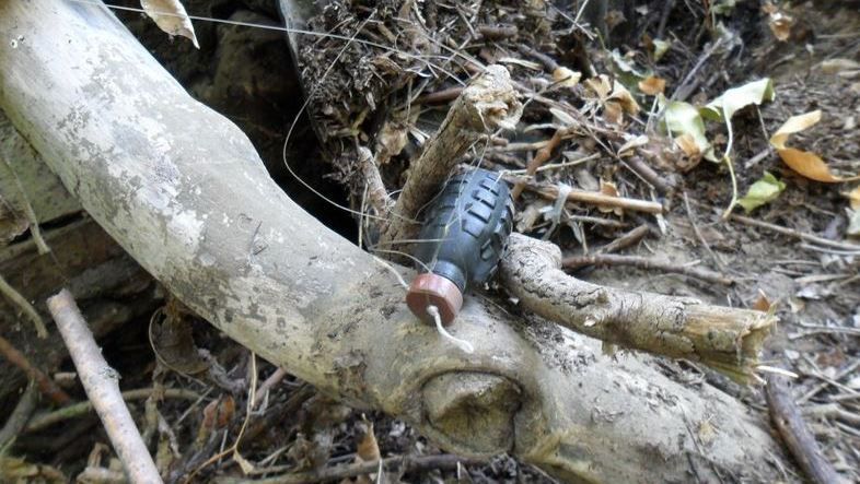 На Луганщині двоє військових підірвались на розтяжці На Луганщині двоє військових підірвались на розтяжці