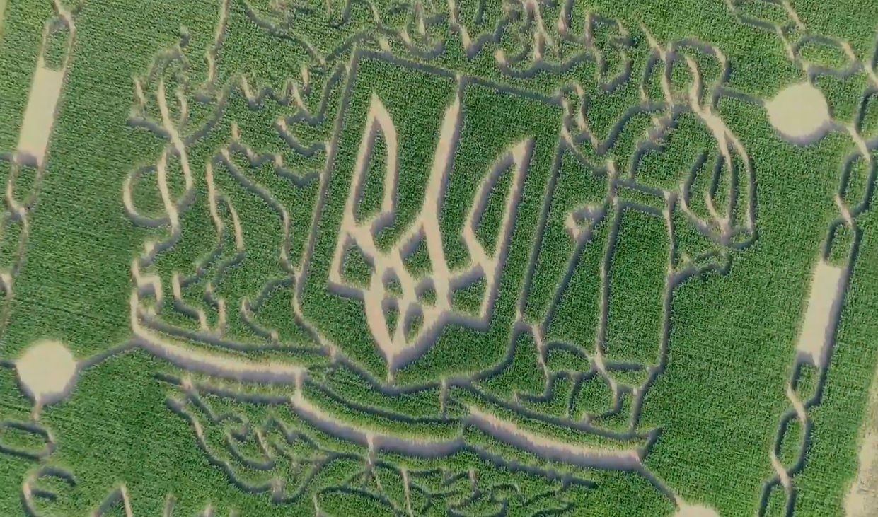 Найдовший лабіринт з кукурудзи створили під Києвом Найдовший лабіринт з кукурудзи створили під Києвом