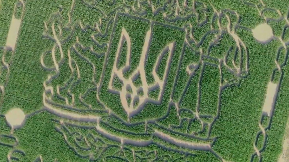 Найдовший лабіринт з кукурудзи створили під Києвом Найдовший лабіринт з кукурудзи створили під Києвом