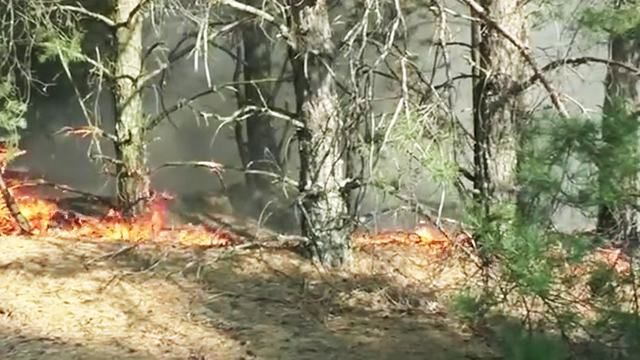 Пожар на полигоне под Черниговом: в сети показали видео