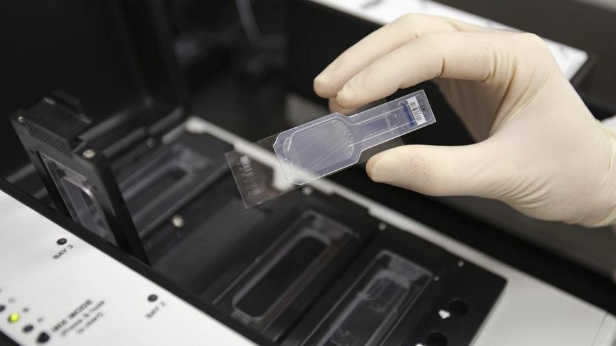 Революційні дрібниці, які змінюють побут показали у Берліні Революційні дрібниці, які змінюють побут показали у Берліні