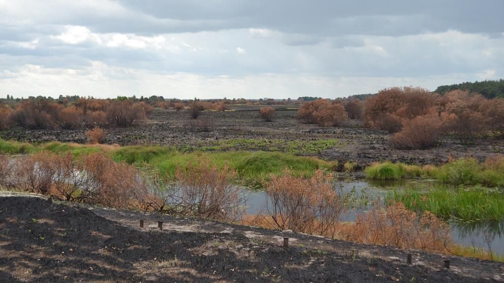 Пожежникам вдалось загасити пожежу в Чорнобильській зоні, яка спалахнула ще в суботу Пожежникам вдалось загасити пожежу в Чорнобильській зоні, яка спалахнула ще в суботу