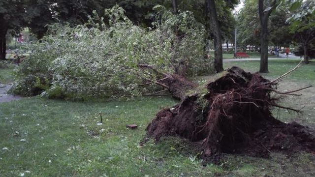 Ураган пронесся Харьковом: появились ужасающие фото последствий непогоды