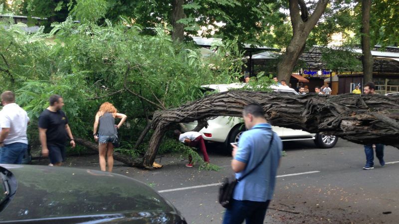 Негода лютує в Одесі: дерева падають на машини і лінії електропередач Негода лютує в Одесі: дерева падають на машини і лінії електропередач