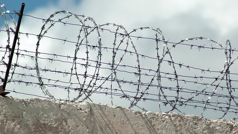Півсотні ув'язнених втекли з колонії під Києвом, – ЗМІ