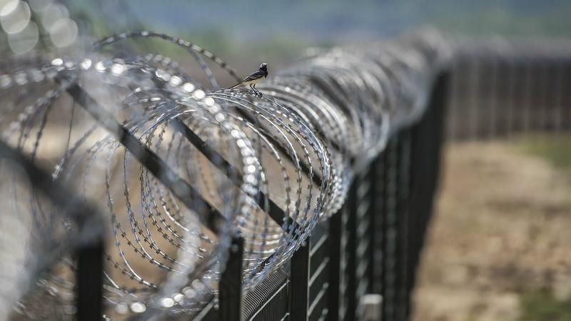 Пограничники отчитались о строительстве проекта "Стена" на границе с Россией Пограничники отчитались о строительстве проекта "Стена" на границе с Россией