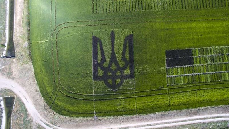 Гігантський тризуб висіяли на Херсонщині: з'явилися фото Гігантський тризуб висіяли на Херсонщині: з'явилися фото