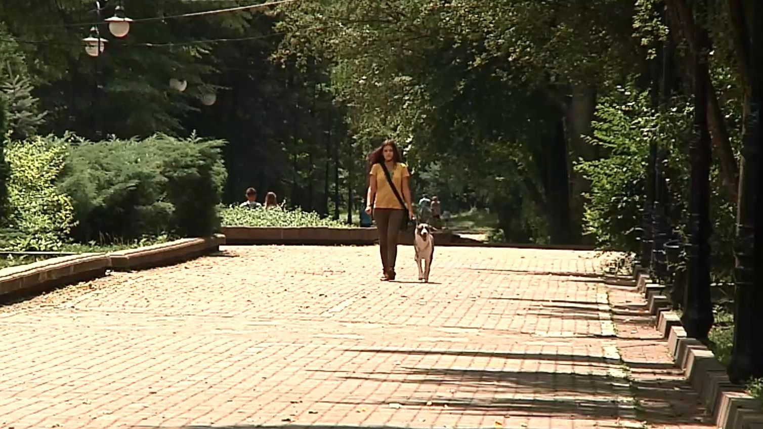 Де мають вигулювати собак їх власники у Франківську Де мають вигулювати собак їх власники у Франківську