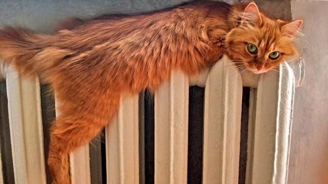 Чи допоможуть лічильники зекономити кошти на опалені взимку Чи допоможуть лічильники зекономити кошти на опалені взимку