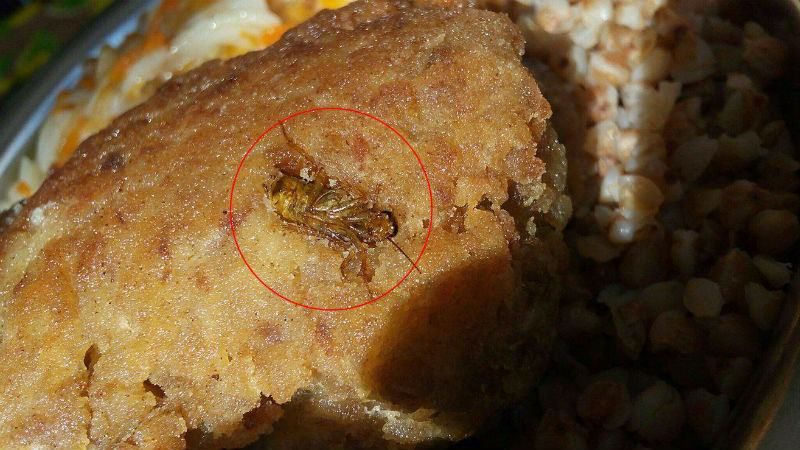 Обед с червями и тараканами – бойцы отравились в солдатской столовой