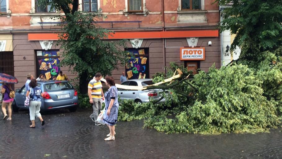 Шалений буревій виривав дерева та трощив авто в Ужгороді 