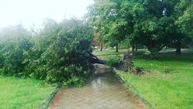 Ужгород, негода Ужгород, негода