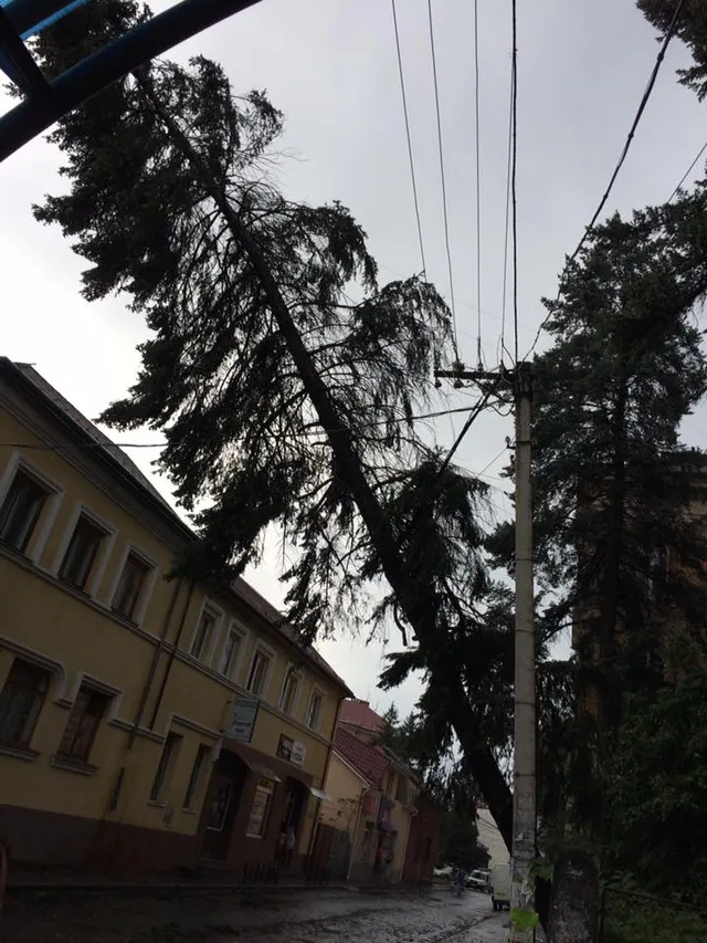 Ужгород, негода Ужгород, негода