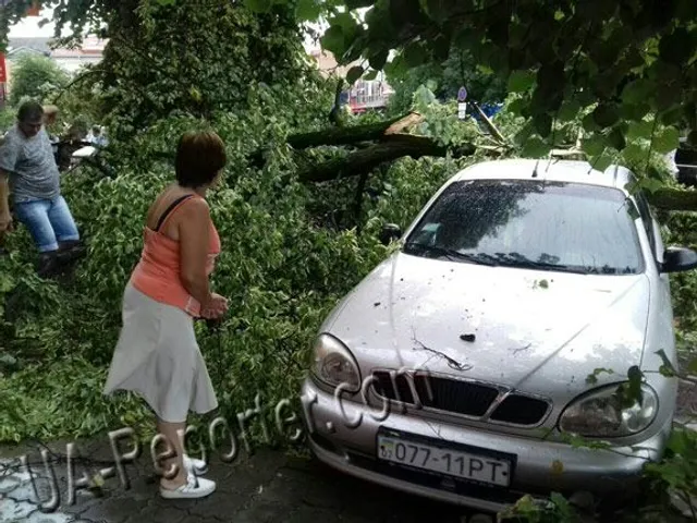 Ужгород, негода