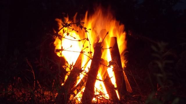 Вчені назвали причину появи туберкульозу